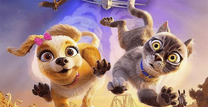 Gracie e Pedro, Dupla improvável