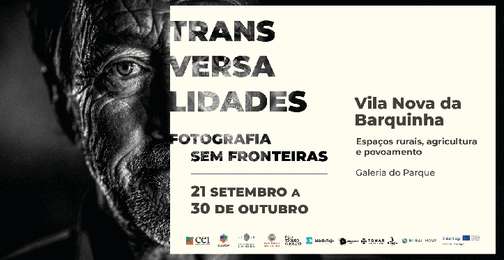 Exposição Transversalidades